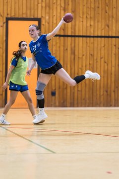 Bild 118 - wBJ TSV Ellerau - HSG Stoertal Hummeln : Ergebnis: 26:19